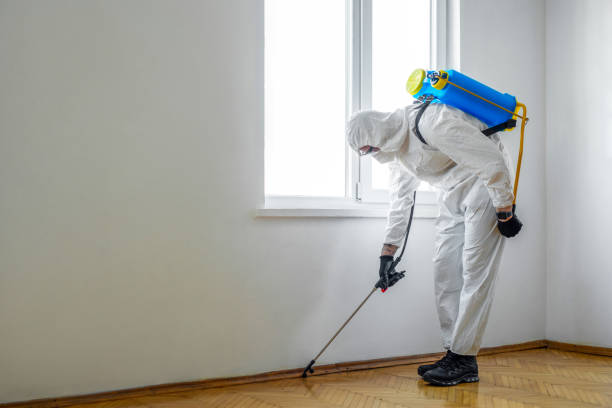 Insect Control in West York, PA