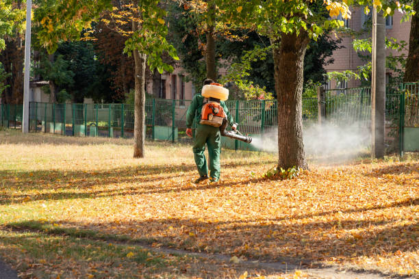 Best Commercial Pest Control Services  in West York, PA