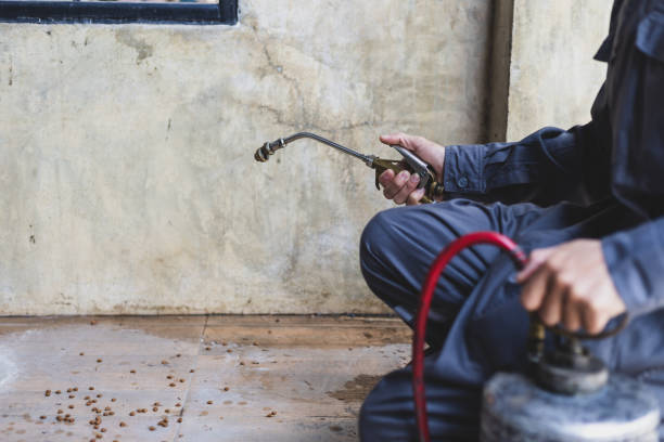 Best Local Pest Control Services  in West York, PA